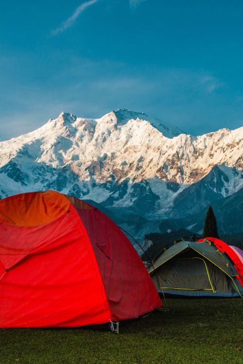 Bayal Camp