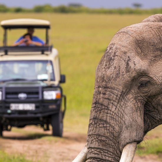 Game Drive Masai Mara