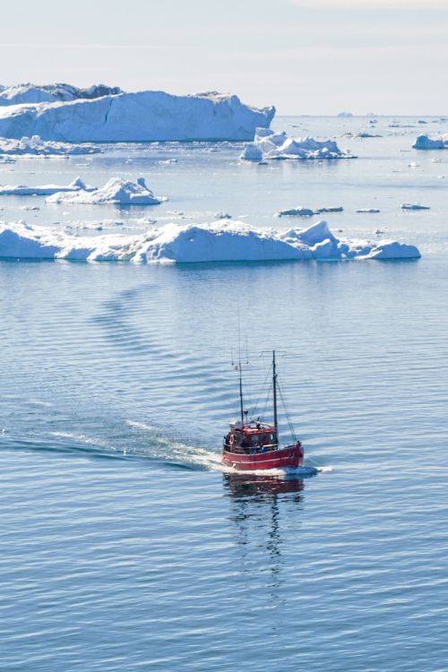 Iceberg Cruise Greenland